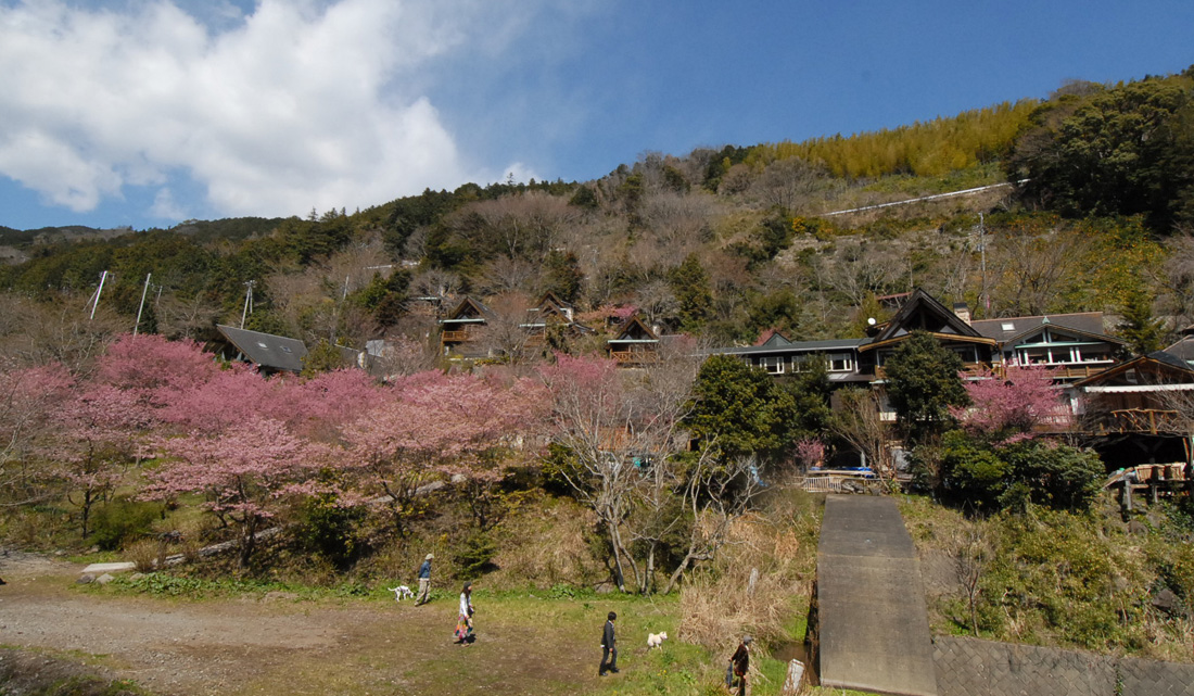 せせらぎ散策路