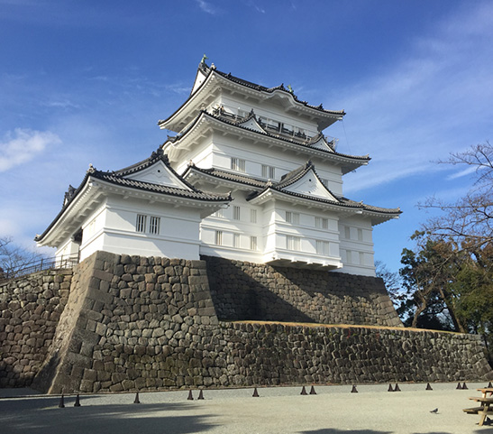 小田原観光 小田原城