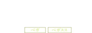 露天風呂付本格ログハウス《布団》 ベガ ペガスス