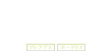 露天風呂付本格ログハウスポスト＆ビーム《ツインベッド》 プレアデス ポーラリス