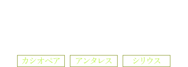 本格ログハウス《布団》 カシオペア アンタレス シリウス