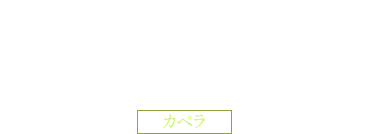 露天風呂付 船室風客室《ツインベッド》 カペラ