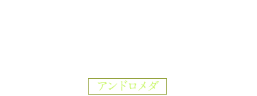 ミニログハウス《布団》 アンドロメダ