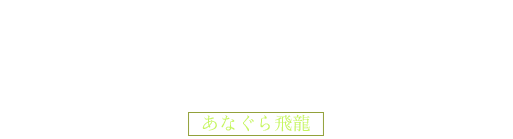 巨石温泉露天風呂×穴蔵の秘密基地 《ロフトベッド》 あなぐら飛龍
